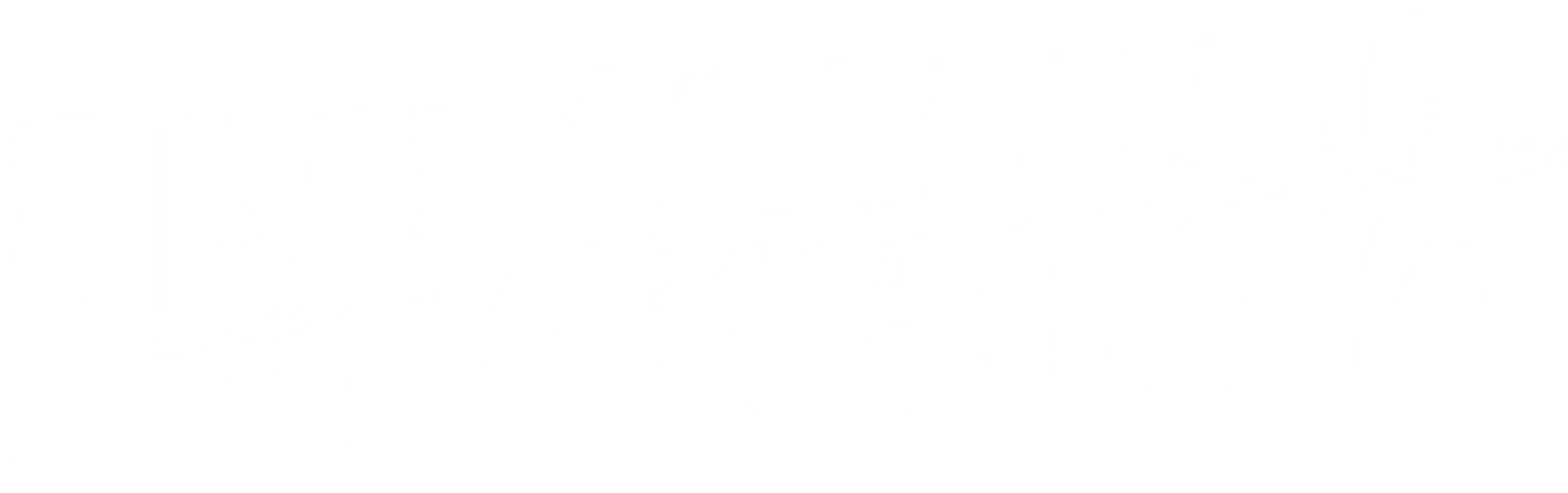 Di2 Logo Negative